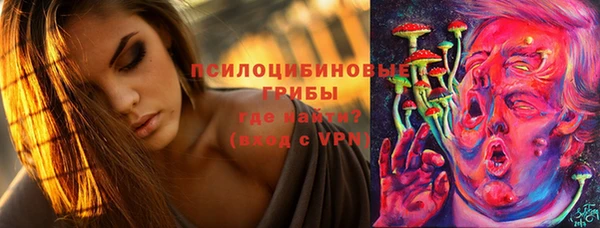 мяу мяу мука Белокуриха
