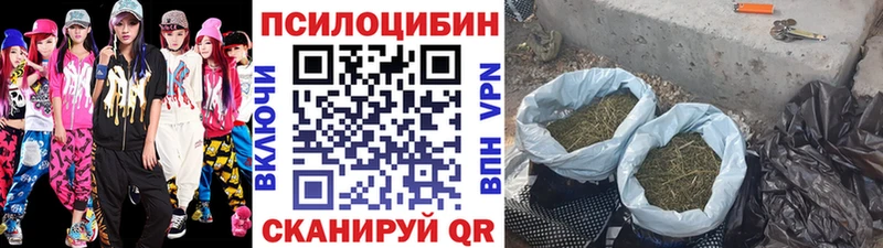 Галлюциногенные грибы Psilocybine cubensis  купить наркотики цена  Кемь 